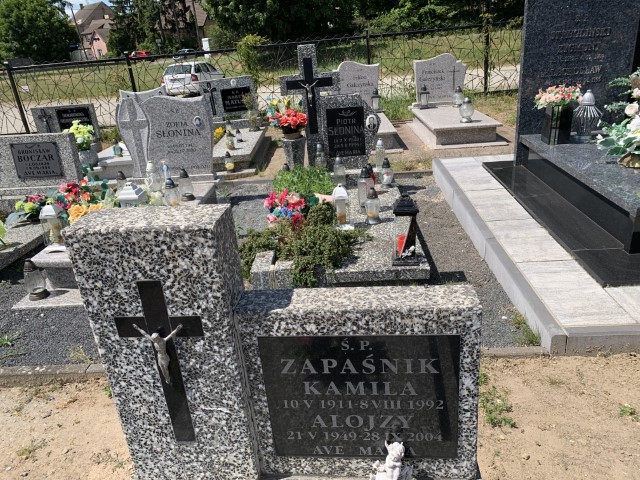 Alojzy Zapaśnik 1949 Brojce - Grobonet - Wyszukiwarka osób pochowanych