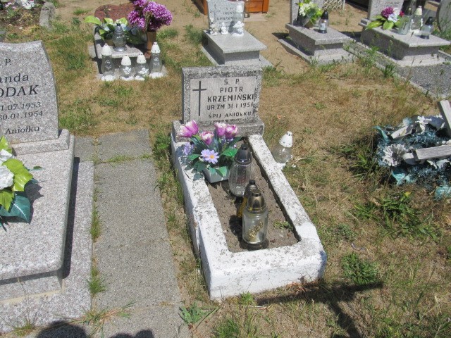 Grób Piotr  Krzemiński 